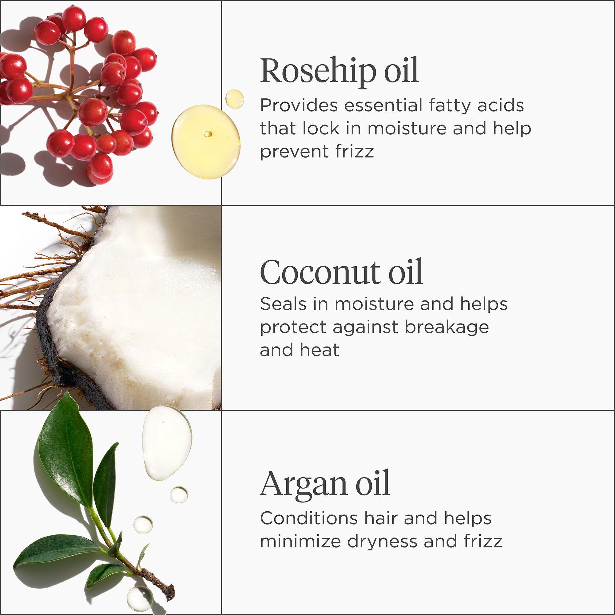 Farewell Frizz™ Rosarco Milk Leave-in Conditioning Spray 1.75 oz - Briogeo